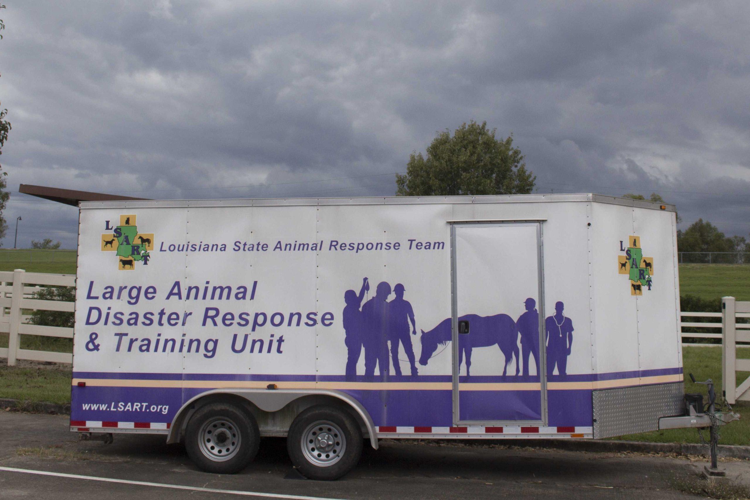 LSU veterinary assistant wins 'Champions of the Cause Award'