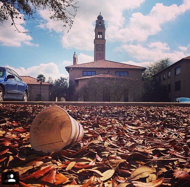 The first place winner of LSU's 2015 Litterati Campaign.