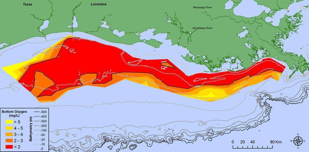 A map of dissolved oxygen on the ocean floor using data obtained from the 2017 Shelfwide Cruise.&#160;