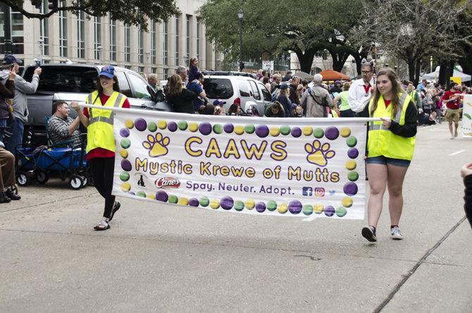 PHOTOS: Bark in the Park