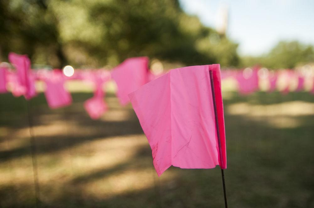 The LSU Pro-Life club displays flags each representing an abortion done in one day by Planned Parenthood on Nov. 13, 2017, on the LSU Parade Ground.