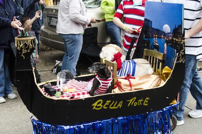 PHOTOS: Bark in the Park