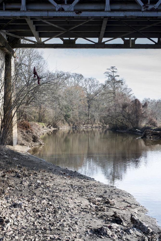 Volunteer LSU canoes Bayou Manchac in cleanup effort