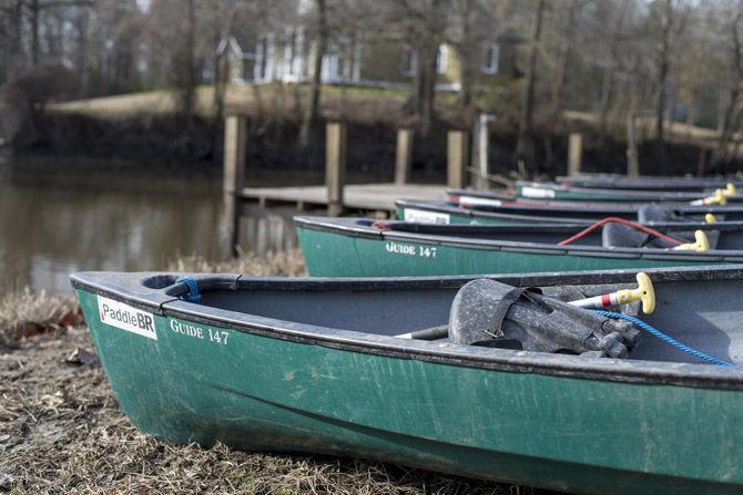 Volunteer LSU canoes Bayou Manchac in cleanup effort