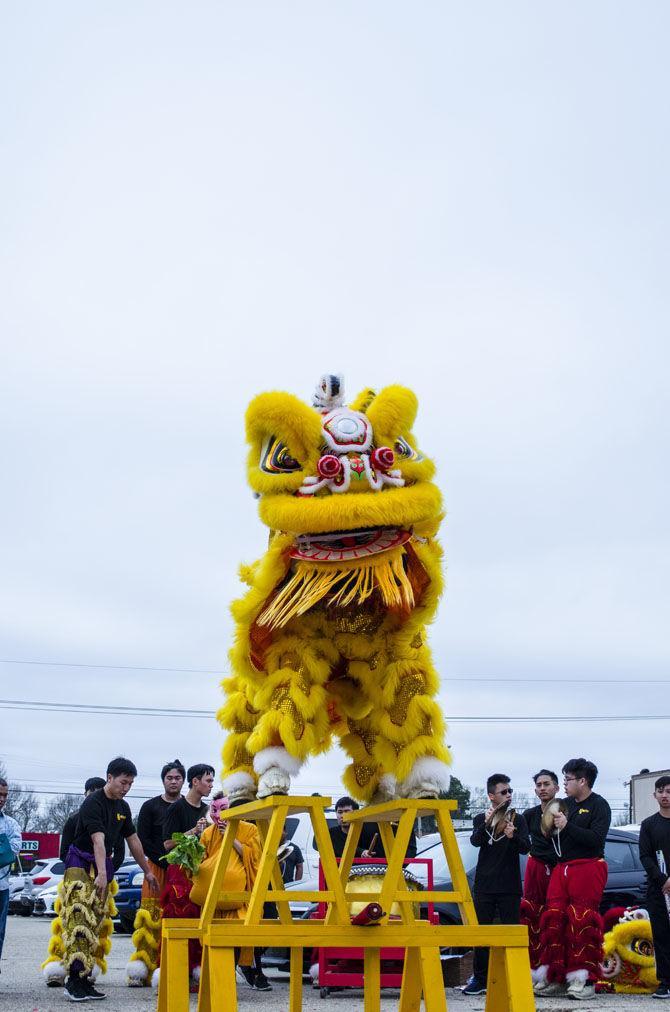 PHOTOS: Lion Dance 2018