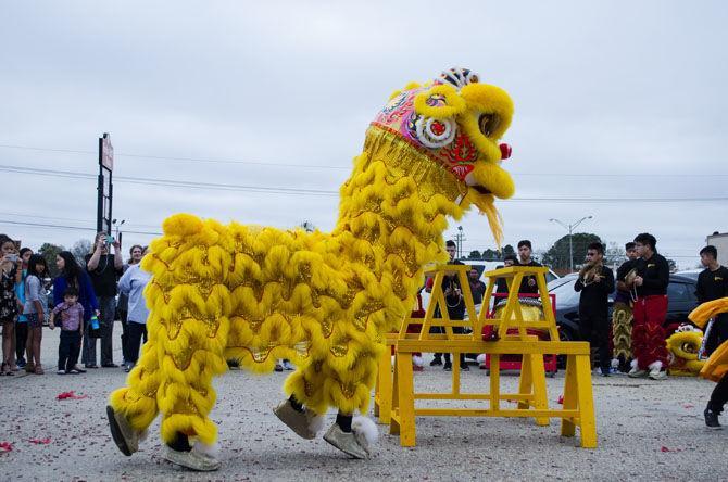 PHOTOS: Lion Dance 2018