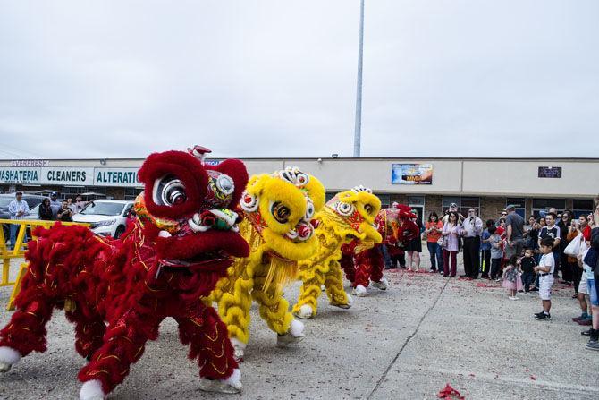 PHOTOS: Lion Dance 2018