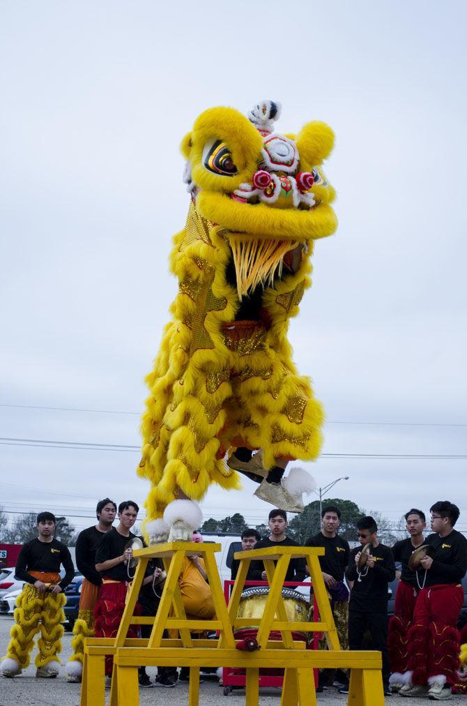 PHOTOS: Lion Dance 2018