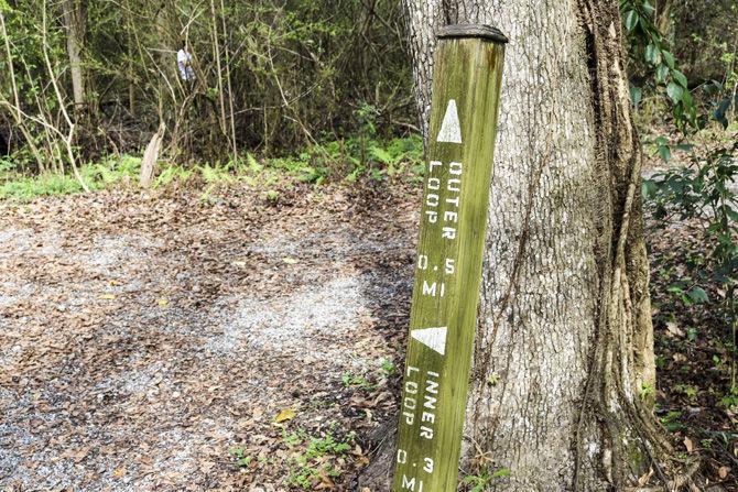 PHOTOS: Bluebonnet Swamp Volunteer Day