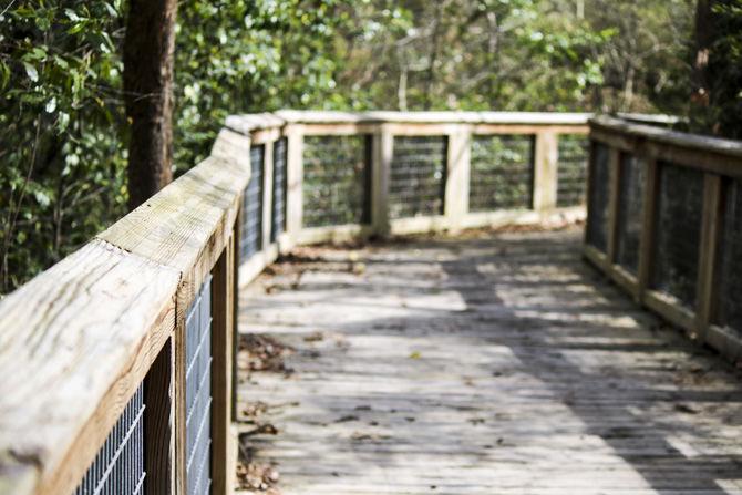 PHOTOS: Bluebonnet Swamp Volunteer Day