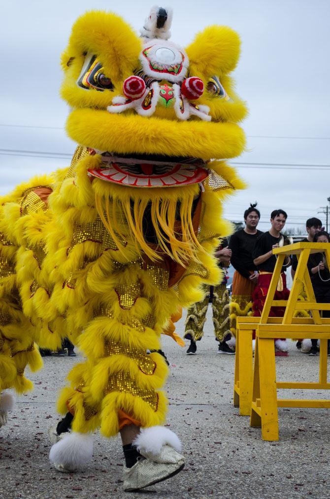 PHOTOS: Lion Dance 2018