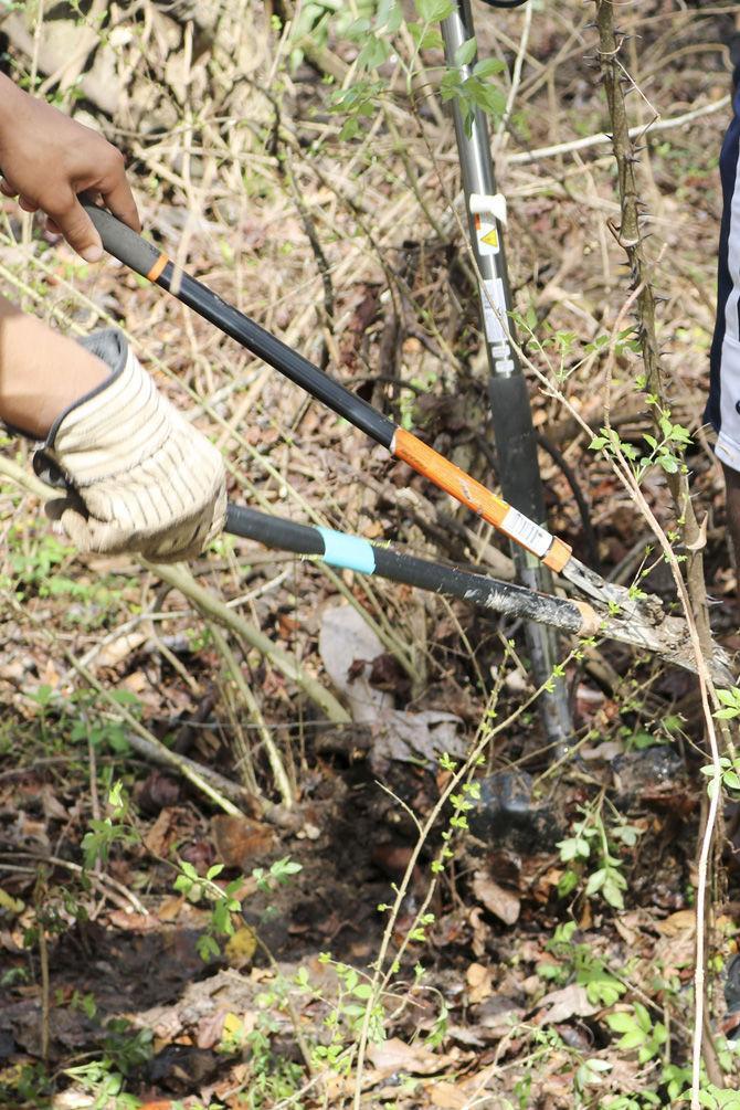 PHOTOS: Bluebonnet Swamp Volunteer Day