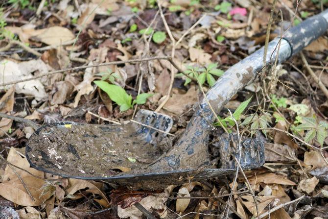 PHOTOS: Bluebonnet Swamp Volunteer Day