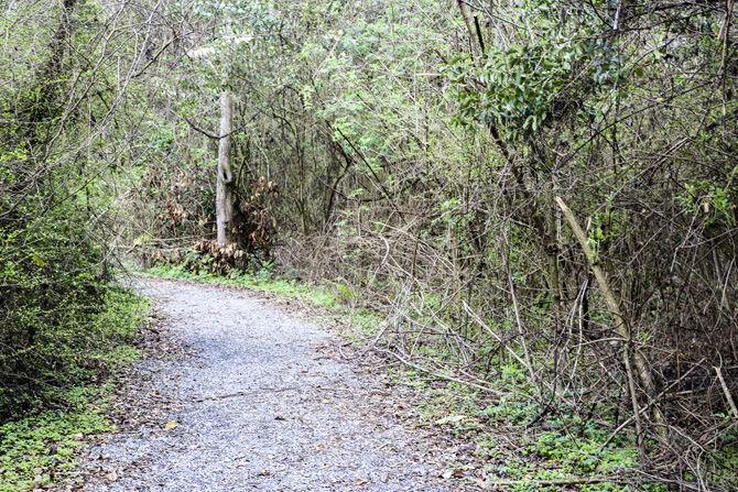 PHOTOS: Bluebonnet Swamp Volunteer Day