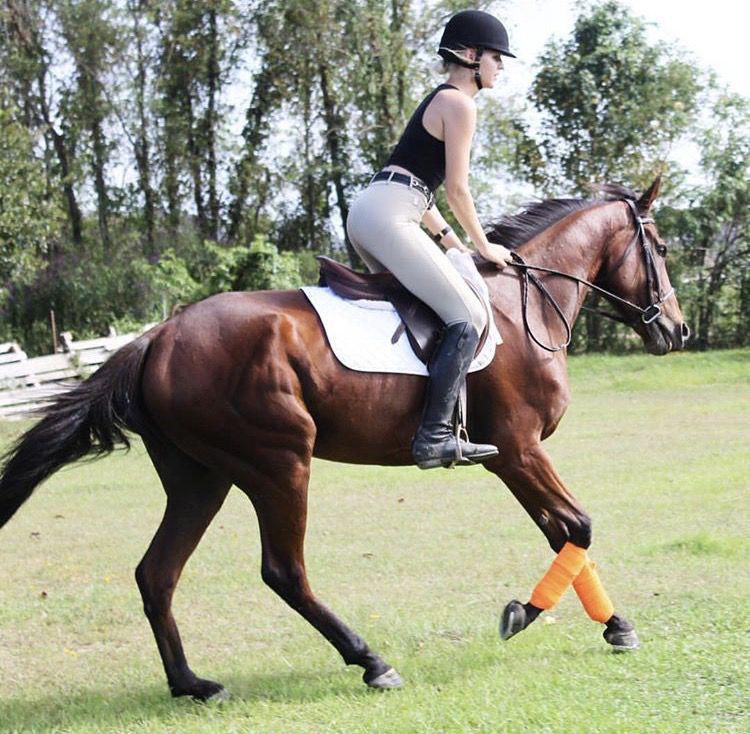 English freshman uses equestrianism to combat eating disorder