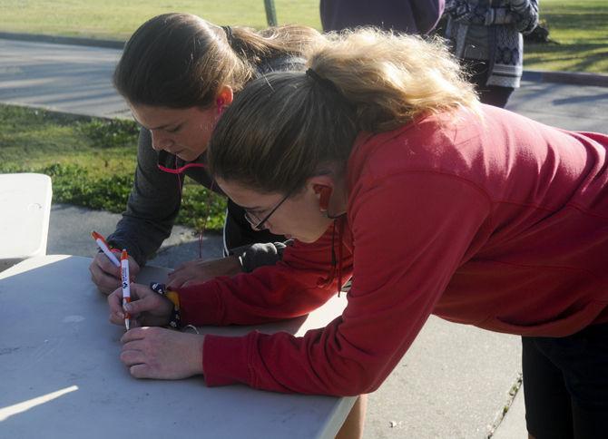 Vet school holds run for pets, owners to raise pet obesity awareness