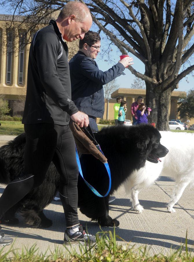 Vet School to host Great Rover Road Run Saturday