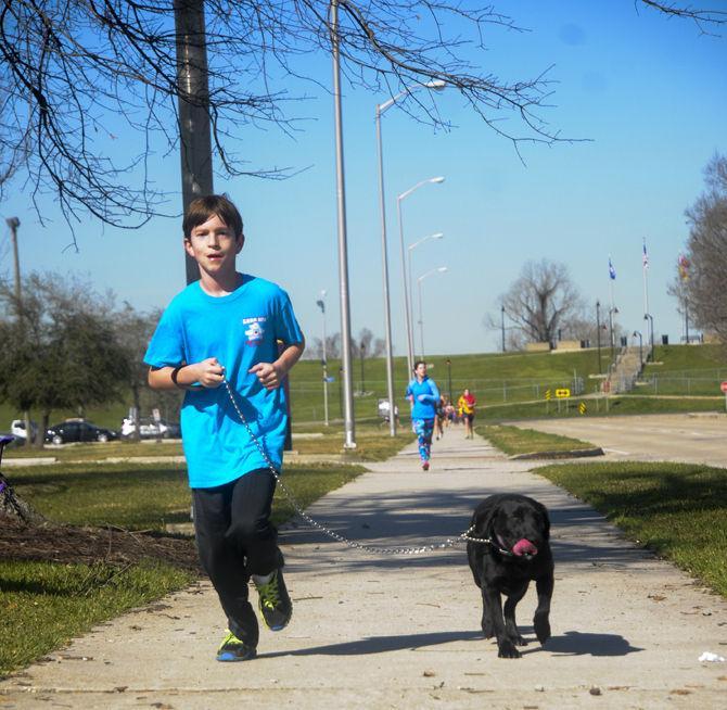 The LSU School of Veterinary Medicine put on the 23rd annual Great Rover Road Run where dogs and their owners could participate in a 5k run, a one mile fun-run, a costume contest, and a best trick contest on Saturday, February 27, 2016 on Skip Bertman Drive.