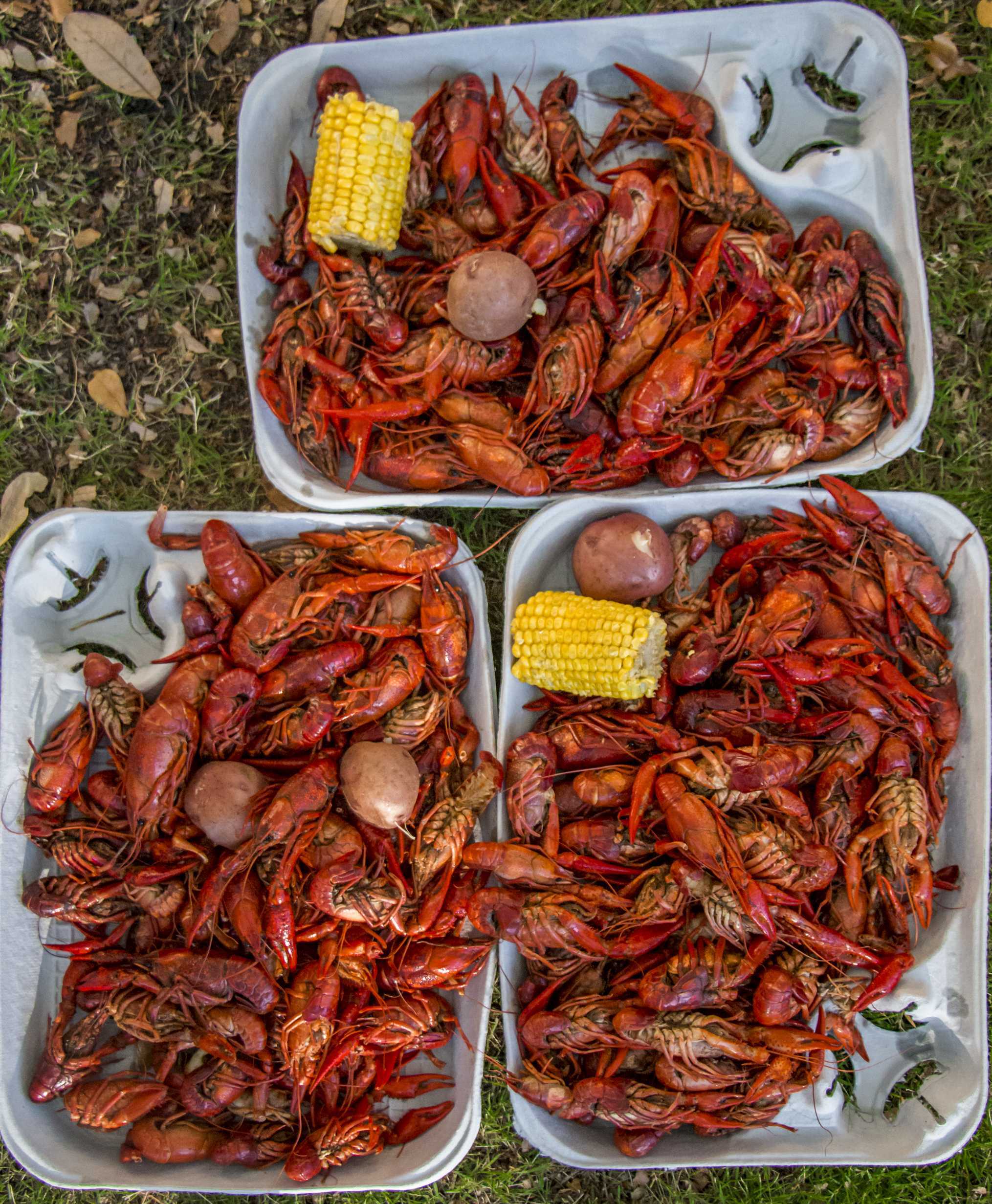 PHOTOS: RHA Crawfish Boil