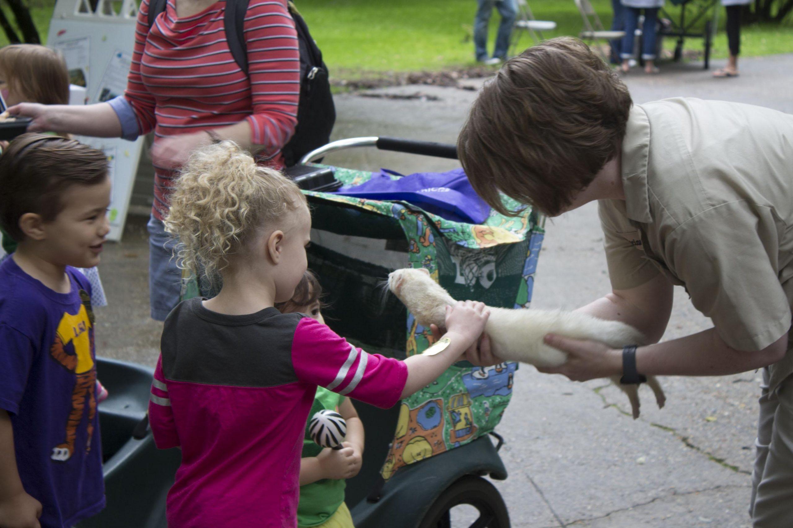 PHOTOS: Zippity Zoo Fest