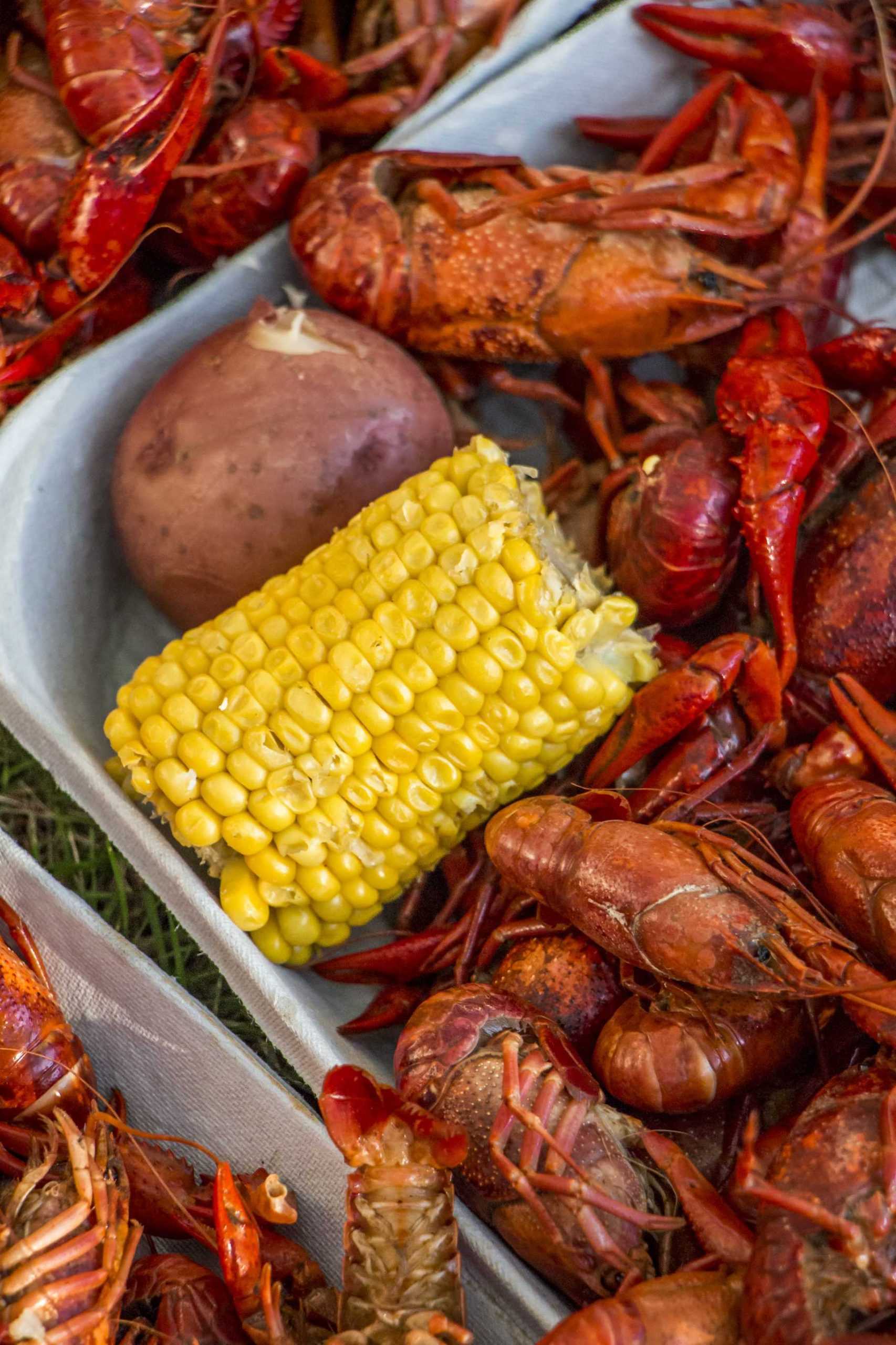 PHOTOS: RHA Crawfish Boil