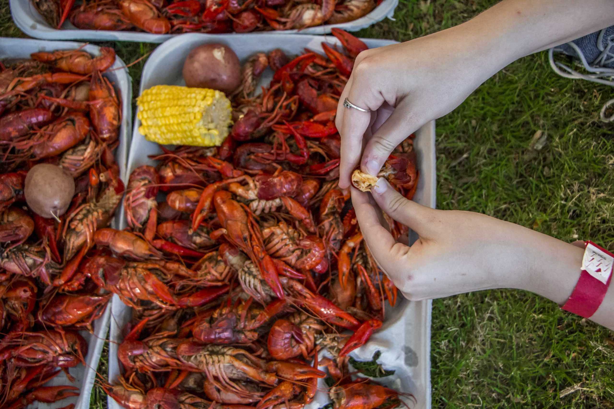 PHOTOS: RHA Crawfish Boil