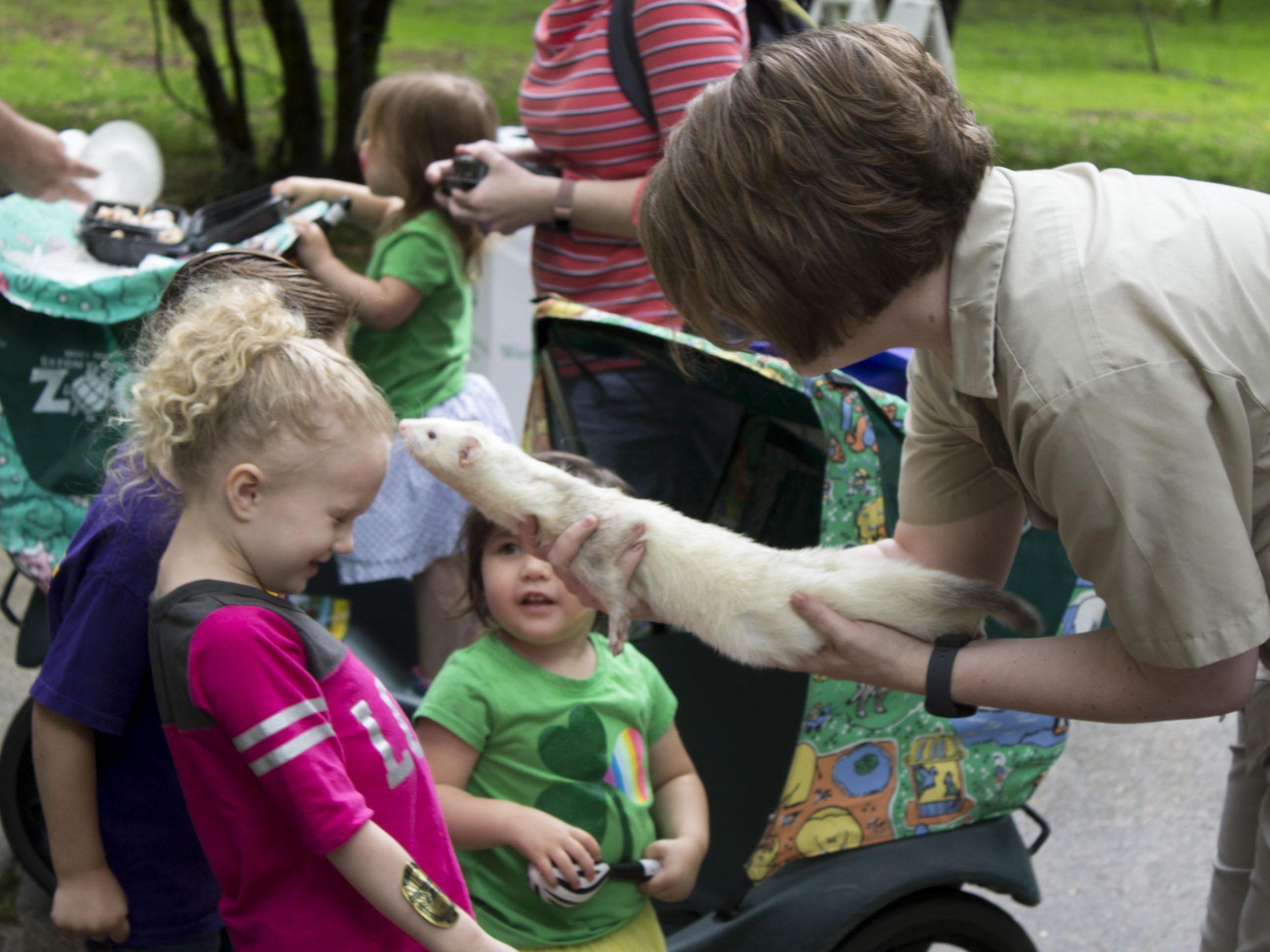 PHOTOS: Zippity Zoo Fest