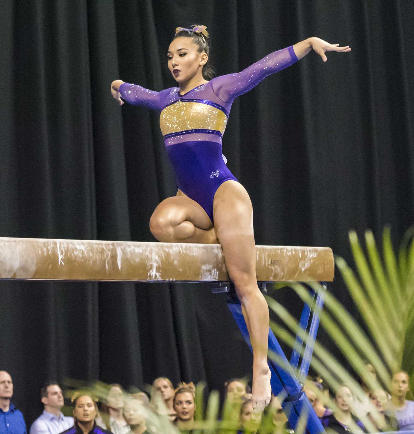 PHOTOS: LSU Gymnastics Semifinals