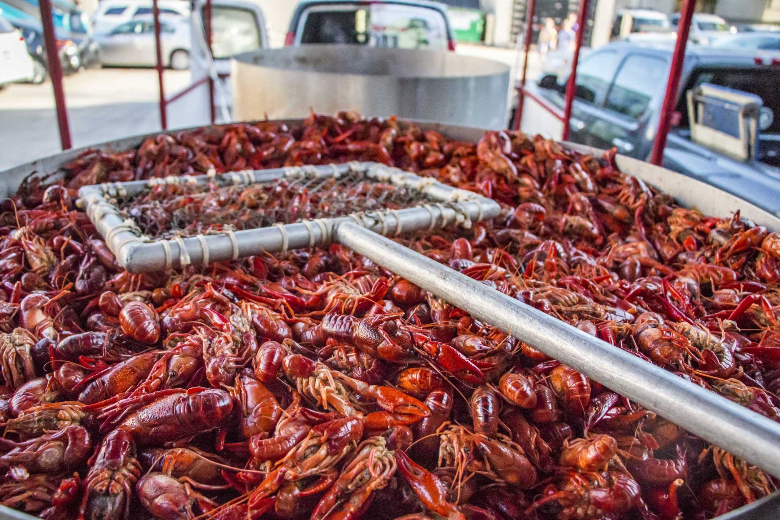 PHOTOS: RHA Crawfish Boil