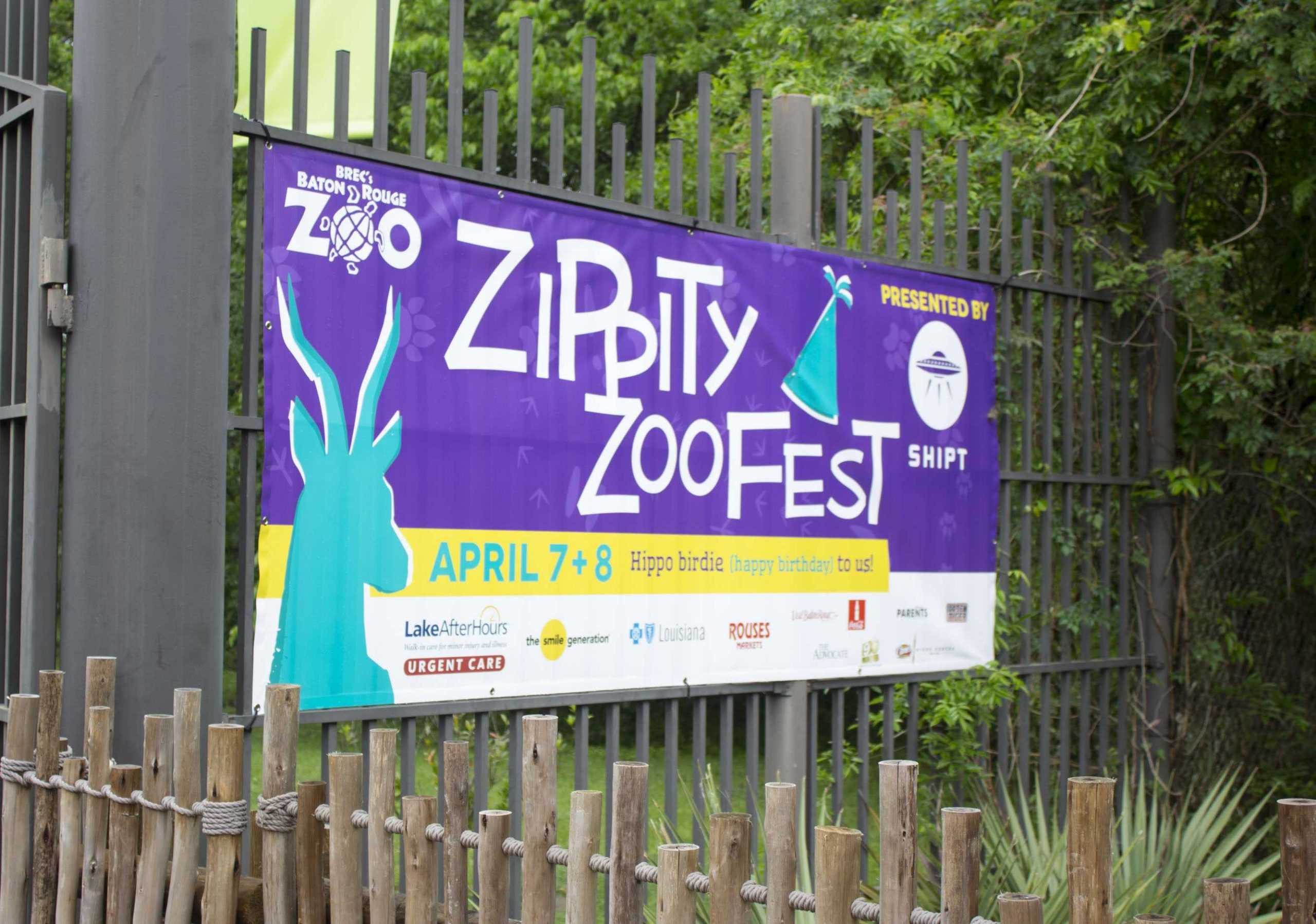 PHOTOS: Zippity Zoo Fest