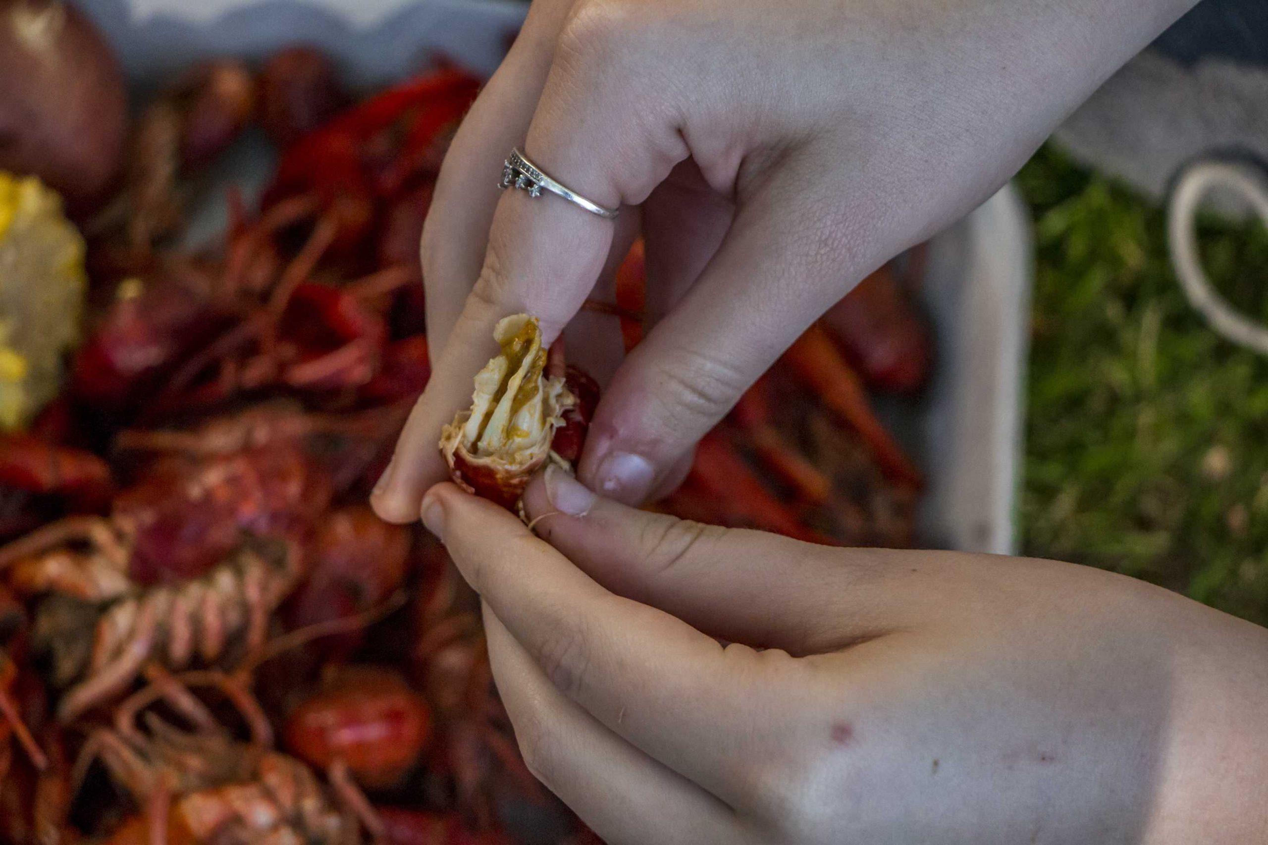 PHOTOS: RHA Crawfish Boil