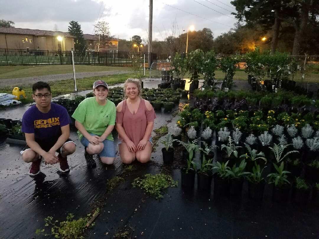 Horticulture Club at LSU prepares for annual spring plant sale