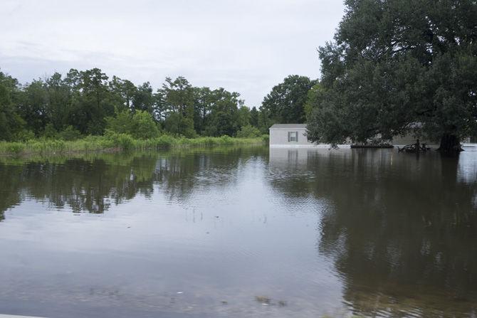 LSU professor studies hurricanes, floods to predict future storm surges