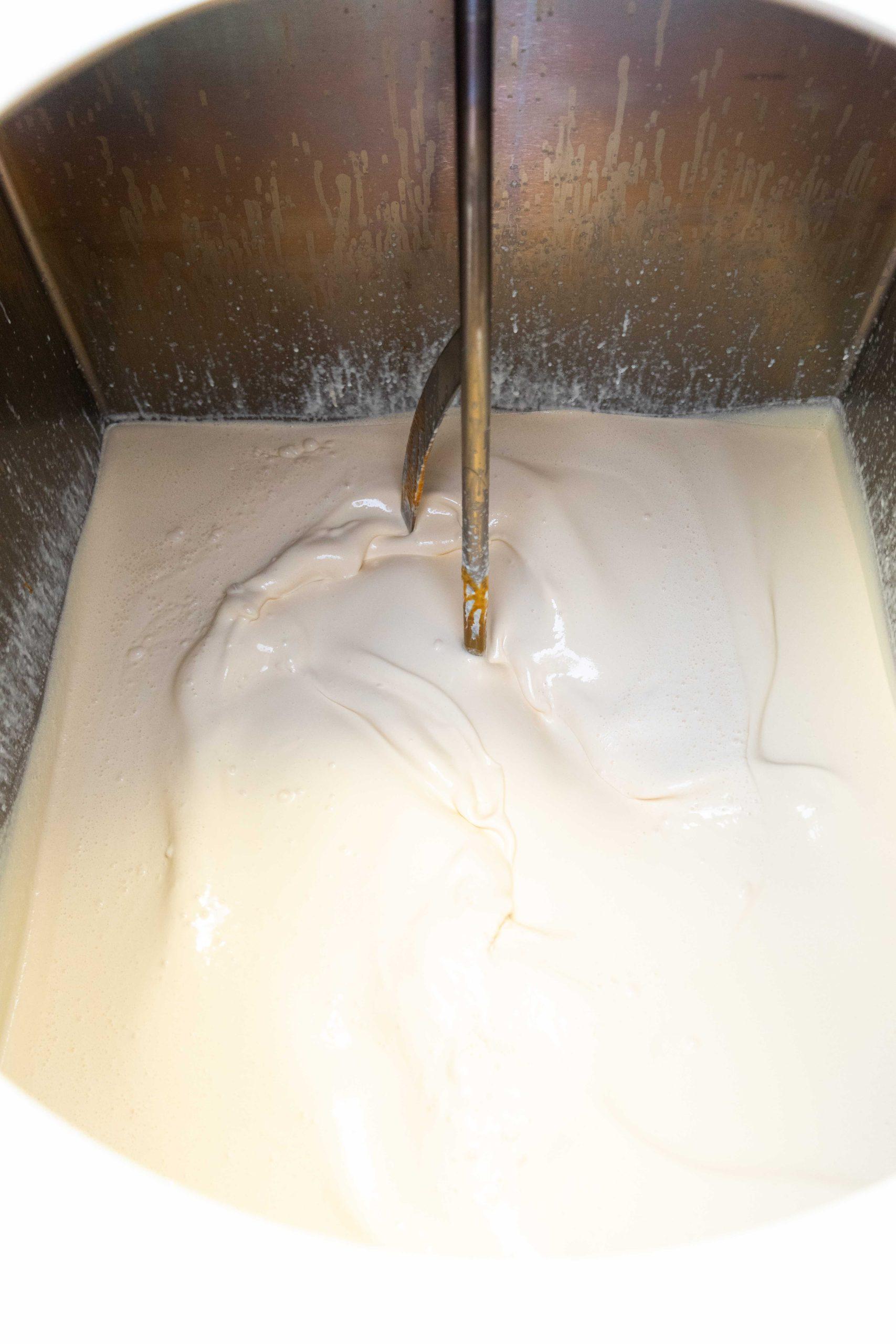 Ice cream in the making: Behind the scenes at the LSU Dairy Store