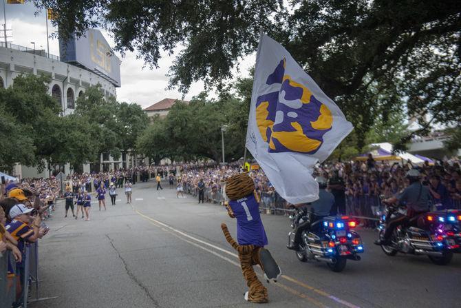 LSU Walks Down Victory Hill