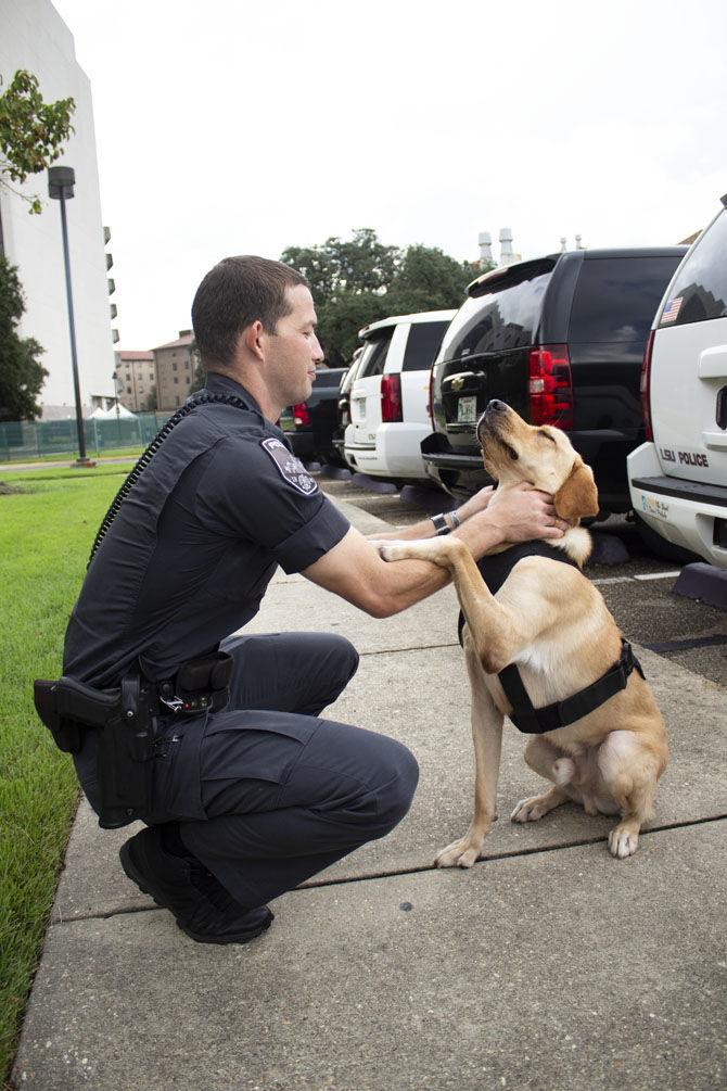 LSUPD welcomes new 'Vapor Wake' K-9s to campus