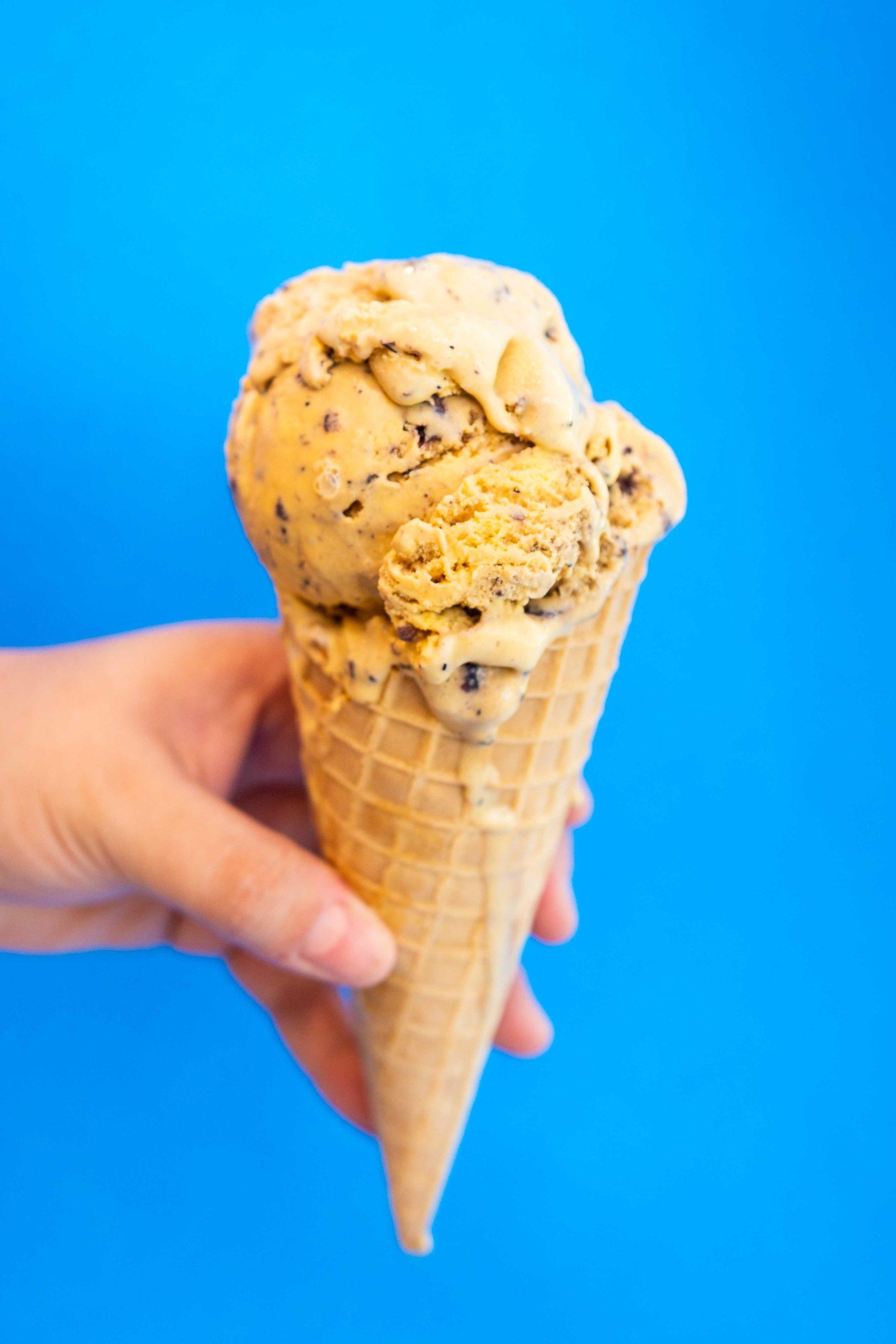 Ice cream in the making: Behind the scenes at the LSU Dairy Store