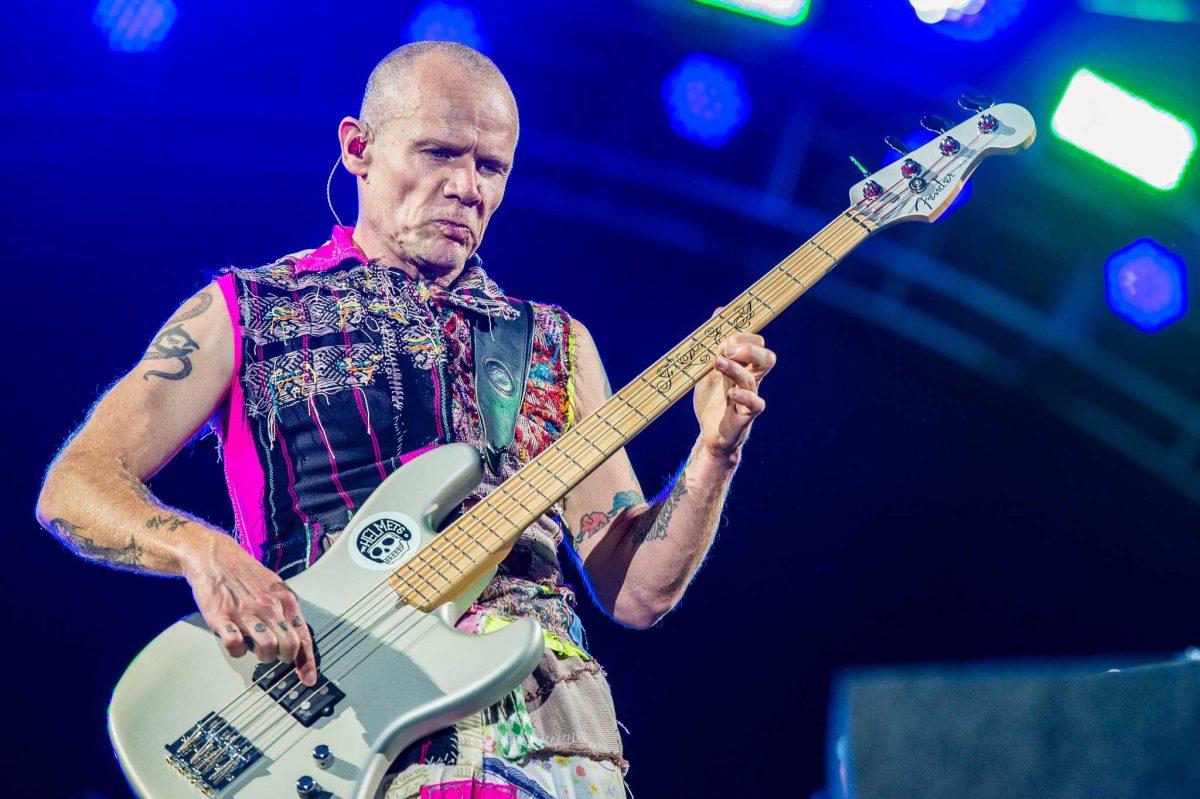 Red Hot Chili Peppers bassist Flea recently pushed back the release of his new book, "Acid for the Children: A Memoir," to 2019.&#160;