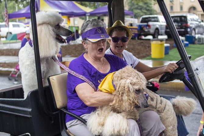 PHOTOS: LSU Homecoming Parade