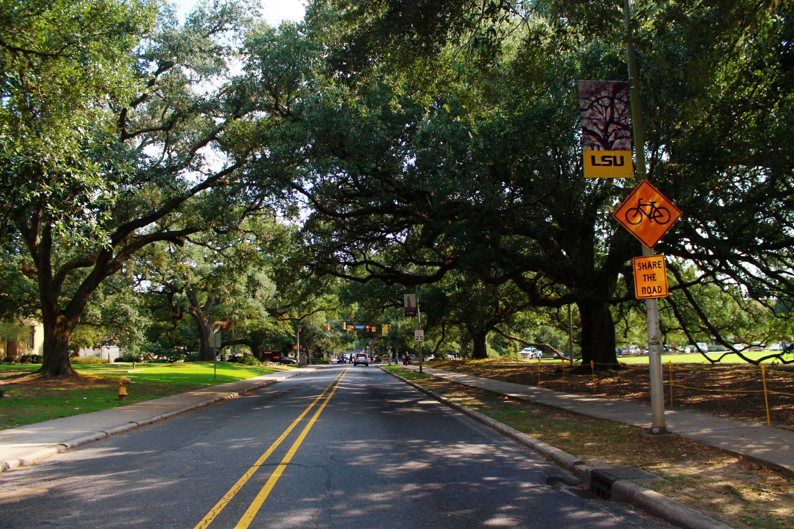 LSU bicycle infrastructure lacking, projects in development