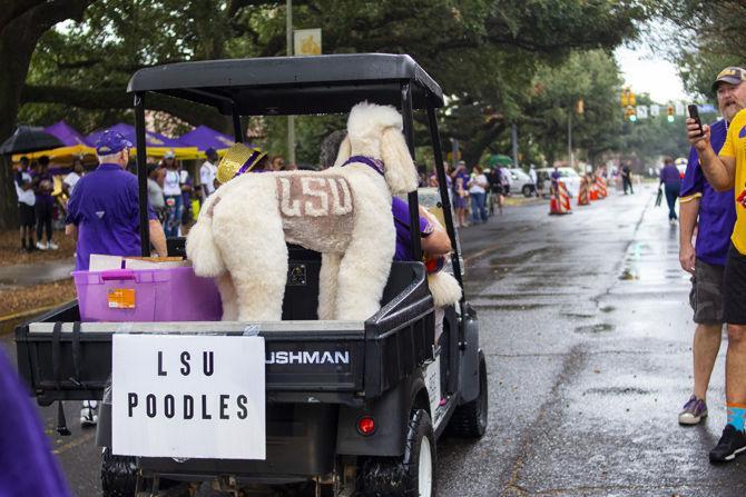 PHOTOS: LSU Homecoming Parade