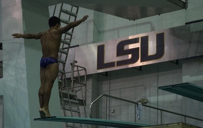 Sophomore diver Juan Celaya-Hernandez prepares to dismount the springboard at LSU Natatorium on Sept. 22, 2017.