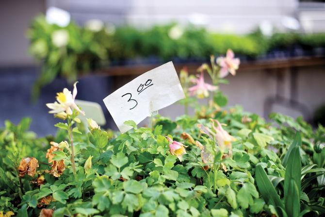 A variety of plants are available for sale Jan. 28, 2017 at the Red Stick Farmer's Market in downtown Baton Rouge.&#160;