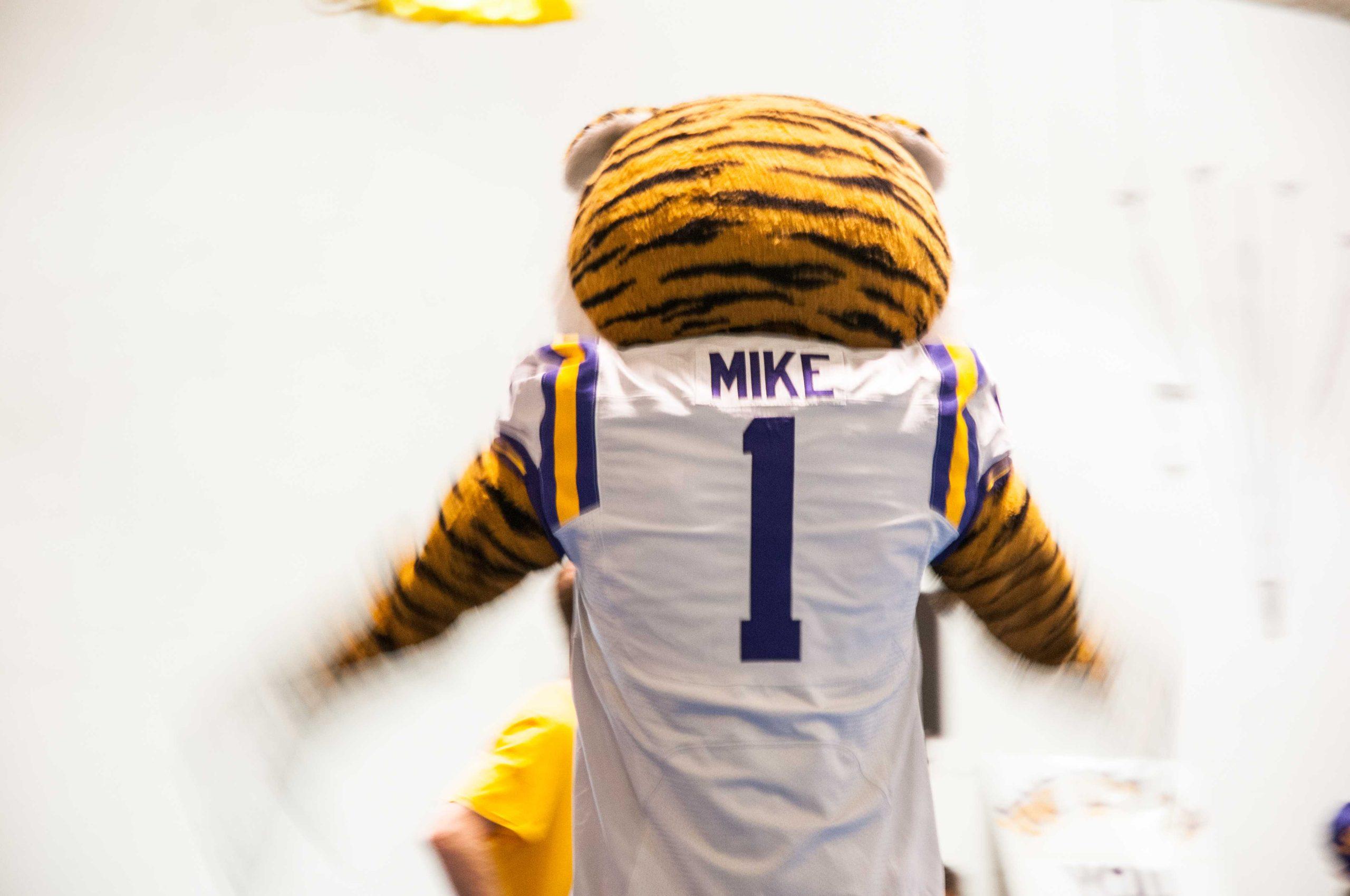 Suit Up: The students behind LSU&#8217;s iconic mascot