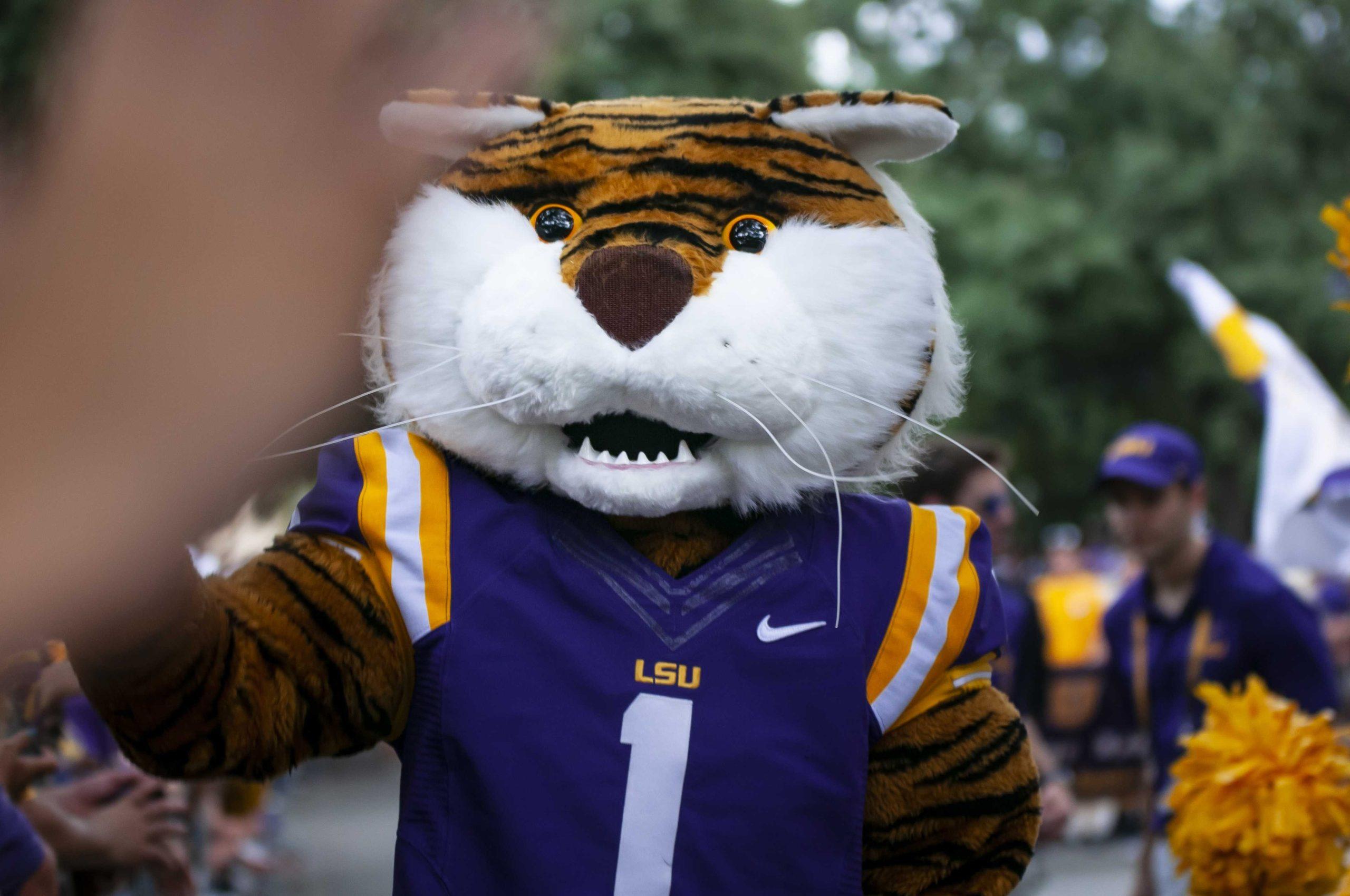 Suit Up: The students behind LSU&#8217;s iconic mascot