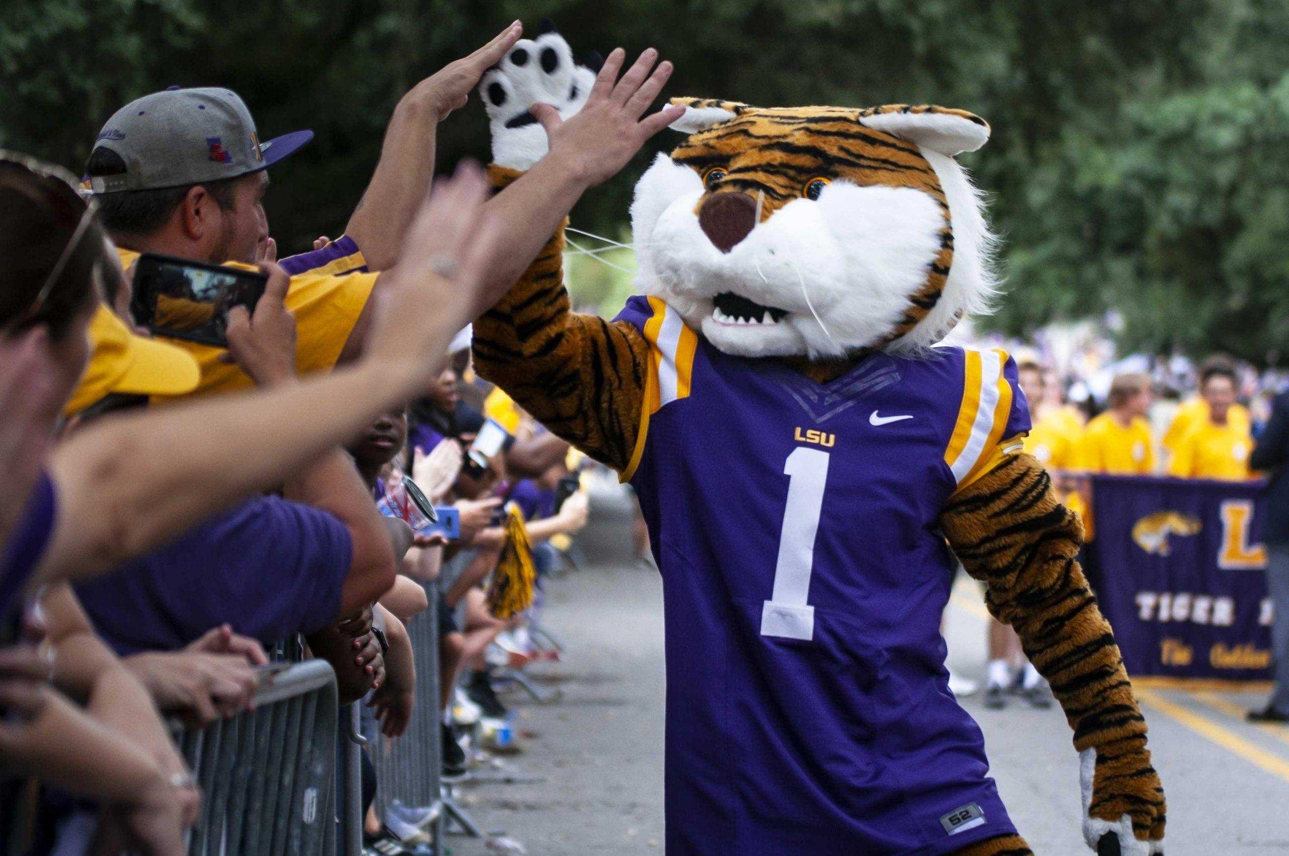 Suit Up: The students behind LSU&#8217;s iconic mascot