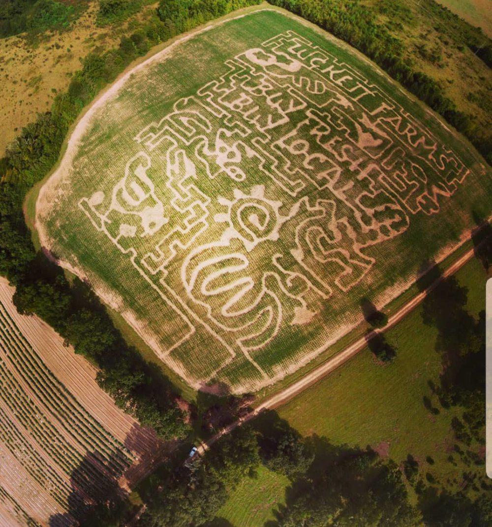 Luckett Farms celebrates Halloween season with corn mazes, pumpkin patch