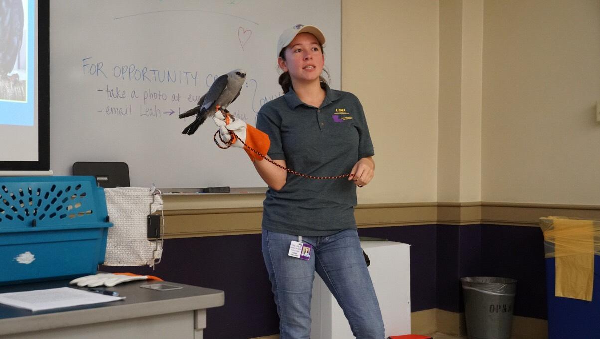 LSU Small and Exotic Animals Club welcomes student of all majors