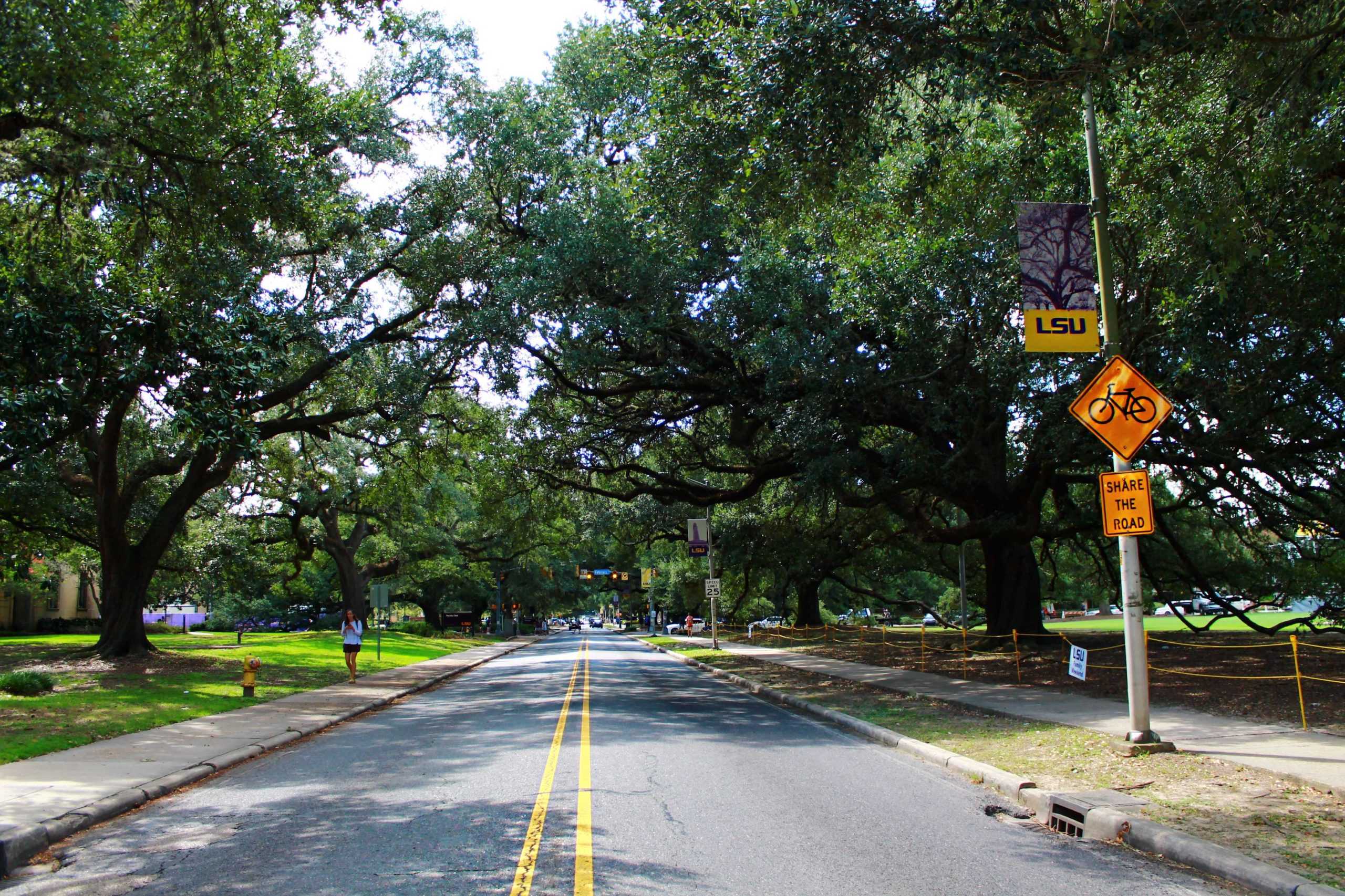 LSU bicycle infrastructure lacking, projects in development