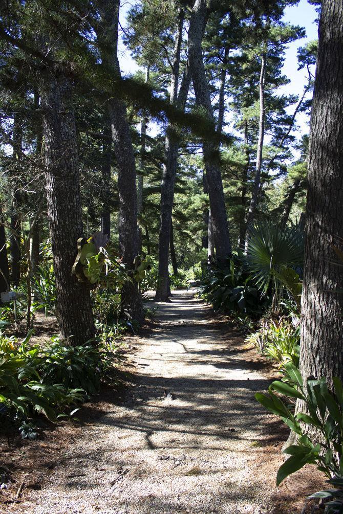 PHOTOS: LSU AgCenter Botanic Gardens